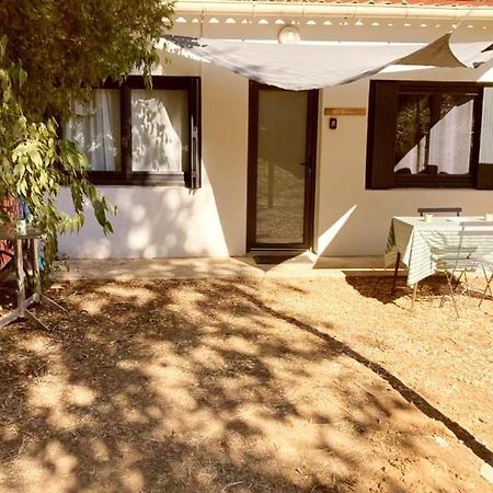 Superbe Appartement Boheme Dans Les Vignes ニーム エクステリア 写真