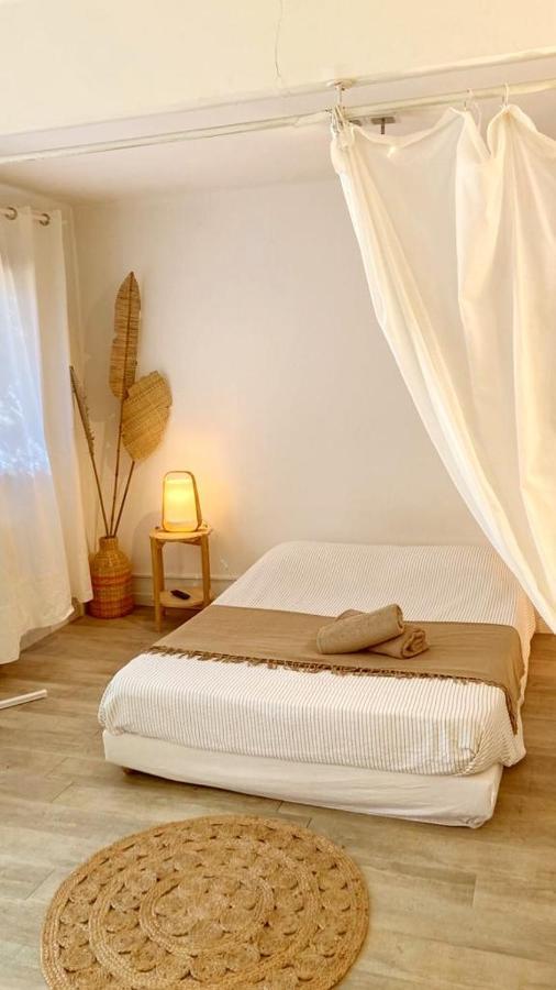 Superbe Appartement Boheme Dans Les Vignes ニーム エクステリア 写真